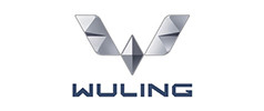 Anhui Wanyi Science and Technology Co., Ltd.