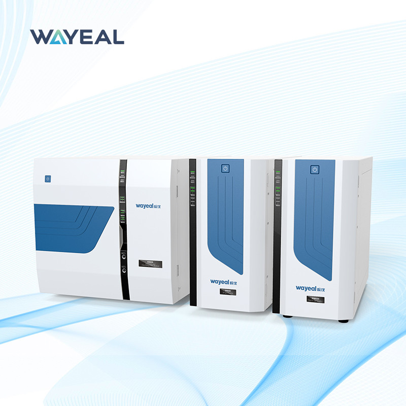 Double System Ion Chromatography Instrument With Amperometric Detectors