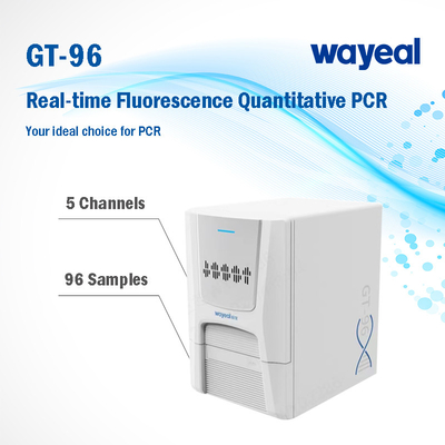 Fast Testing Real Time Fluorescence Quantitative PCR Analyzer 96 Wells 5 Channels