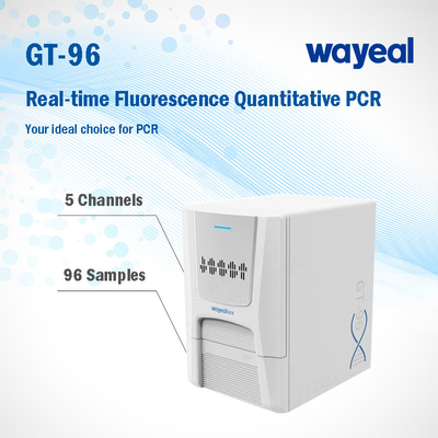 Real Time Lab Fluorescence Quantitative PCR Analyzer For Nucleic Acid Test